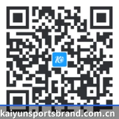 iPhone 专版 二维码